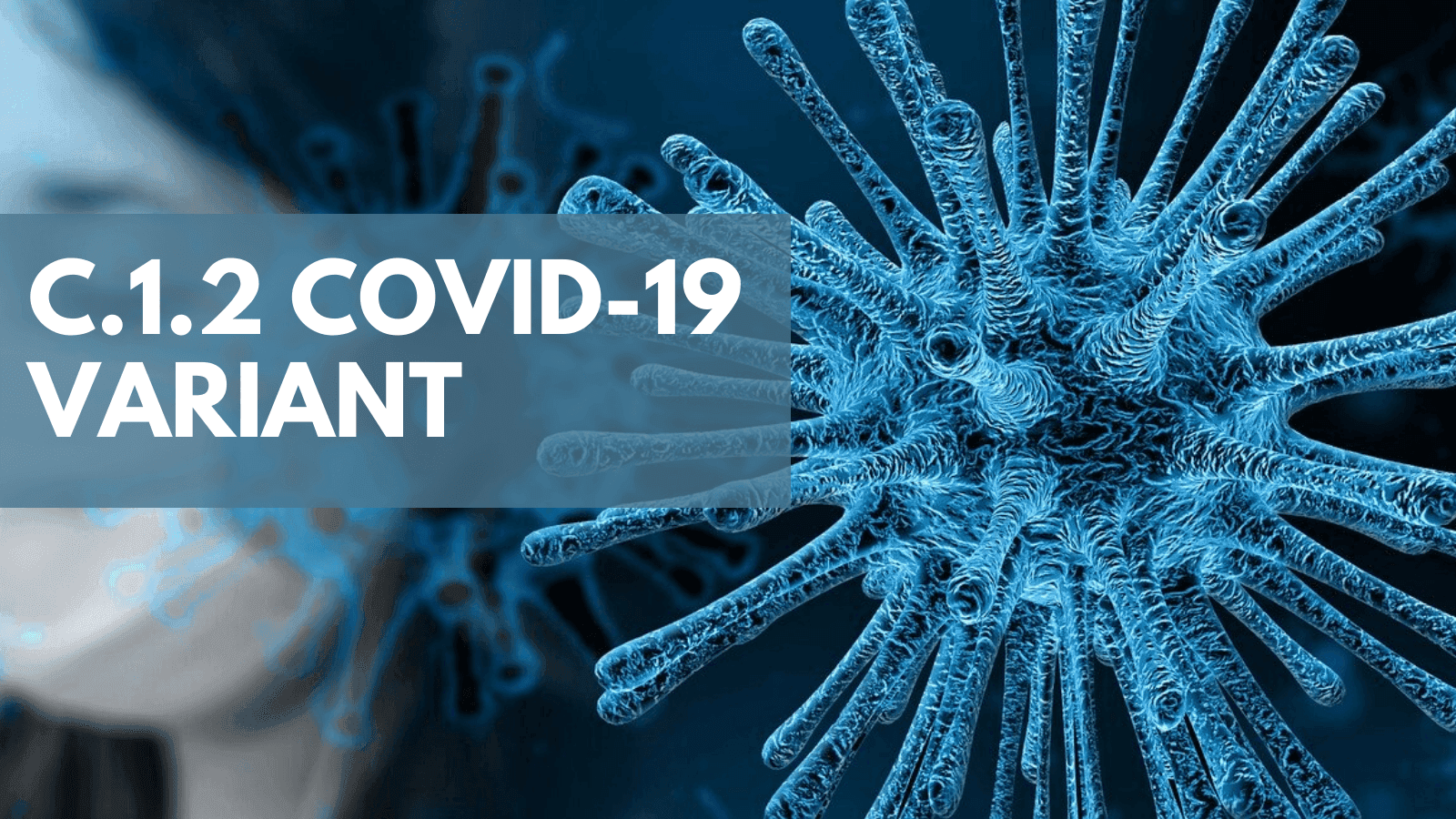  Understanding the Rise of New COVID-19 Variants in 2025
