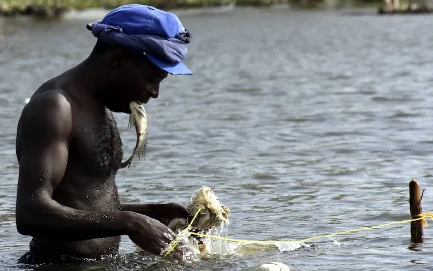 Discover The Blue Economy in Kenya